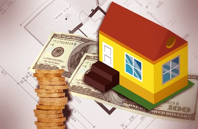Exploring the Positive Trends of New Zealand’s Real Estate Market